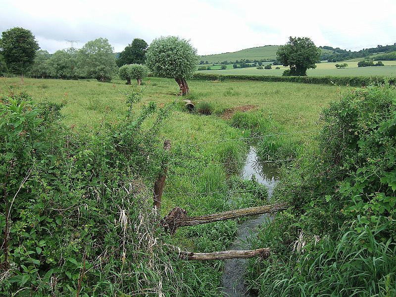2010-05- (11).JPG